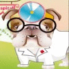 Dr.Bulldog's Pets Hospital game