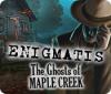 Enigmatis: I fantasmi di Maple Creek game