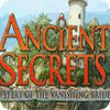 Ancient Secrets: Mystery of the Vanishing Bride gioco