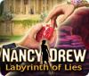 Nancy Drew: Labyrinth of Lies gioco