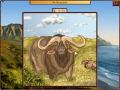 Free download World Riddles: Animals screenshot 3