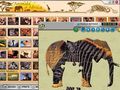 Free download Animals of Africa screenshot 2