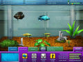 Free download FishCo screenshot