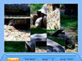 Free download Jig Swap Puzzle screenshot 2