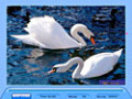 Free download Jig Swap Puzzle screenshot 3