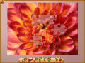 Free download Jigsaw World screenshot