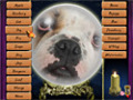 Free download Lost Fortunes screenshot 2