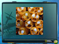 Free download NG Explorer: Ghost Fleet screenshot 3
