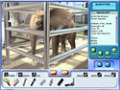 Free download Zoo Vet 2: Endangered Animals screenshot