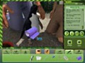 Free download Zoo Vet screenshot 1