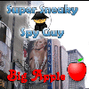 SSSG - Big Apple gioco