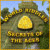 World Riddles: Secrets of the Ages gioco