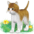101 Kittypets