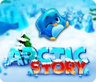 Arctic Story gioco