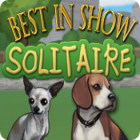 Best in Show Solitaire gioco