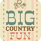 Big Country Fun gioco