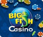 Big Fish Casino gioco