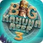 Big Kahuna Reef 3 gioco