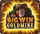 Big Win Goldmine gioco