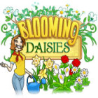 Blooming Daisies gioco