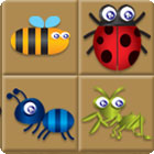 Bug Box gioco