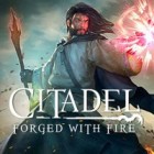 Citadel: Forged with Fire gioco