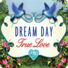 Dream Day True Love gioco
