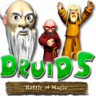 Druid's Battle of Magic gioco