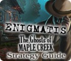Enigmatis: The Ghosts of Maple Creek Strategy Guide gioco