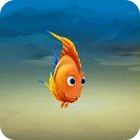 Fishdom 3 Collector's Edition gioco