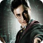 Harry Potter: Fight the Death Eaters gioco