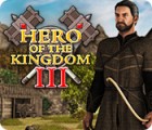 Hero of the Kingdom III gioco