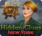 Hidden Clues: New York gioco