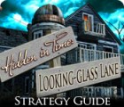 Hidden in Time: Looking-glass Lane Strategy Guide gioco