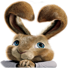 Hop: Coniglio di Pasqua gioco