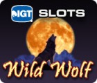 IGT Slots Wild Wolf gioco
