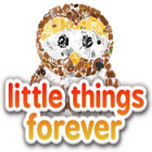 Little Things Forever gioco