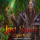 Lost Souls: Enchanted Paintings Collector's Edition gioco