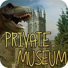 Private Museum gioco