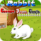 Rabbit Escape From Eagle gioco