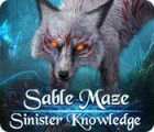 Sable Maze: Sinister Knowledge gioco