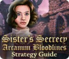 Sister's Secrecy: Arcanum Bloodlines Strategy Guide gioco