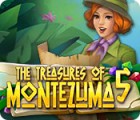 The Treasures of Montezuma 5 gioco