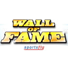 Wall of Fame gioco