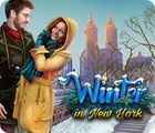 Winter in New York gioco