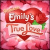 Delicious - Emily's True Love game