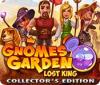Gnomes Garden: Lost King Collector's Edition game