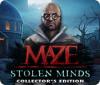 Maze: Stolen Minds Collector's Edition game