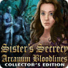 Sister's Secrecy: Arcanum Bloodlines Collector's Edition game