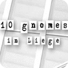 10 Gnomes in Liege gioco